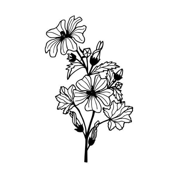 Flower Mallow Forest. Vector stock illustration eps10. Isolate on white background, outline, hand drawing. - Vetor, Imagem
