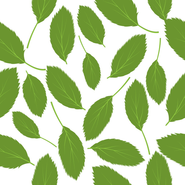 Vector illustration seamless pattern green leaves on white backg - Διάνυσμα, εικόνα
