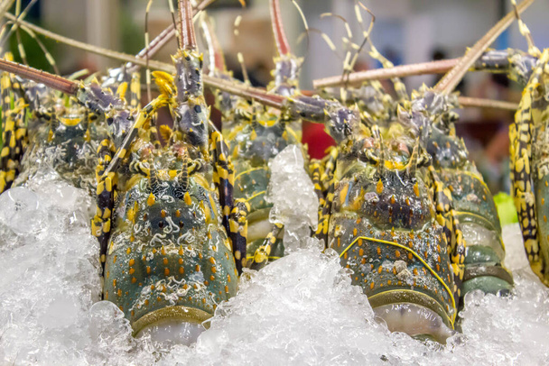 homard épineux dans un plateau de glace au marché - Photo, image