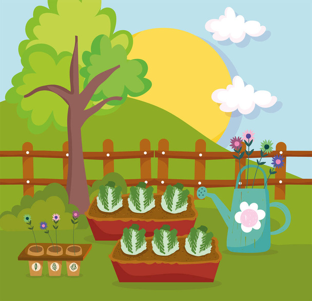 watering lettuces and plants - Vector, Image