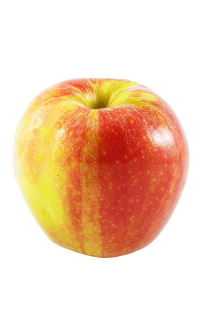 Червоне і жовте яблуко крупним планом над білим
 - Фото, зображення