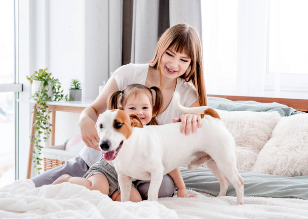 Mother with daughter and dog in the bed - Foto, Imagem