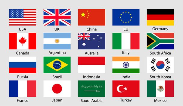 G20 flag icon. China, korea, brazil, mexico, usa, japan, indonesia, canada, france, argentina, saudi arabia, india, germany, south africa, italy, australia, turkey, russia, uk constitute g 20. Vector. - ベクター画像