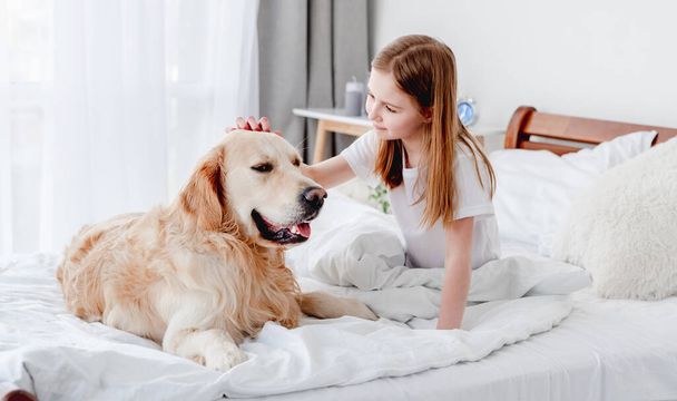 Girl with golden retriever dog in the bed - Fotoğraf, Görsel