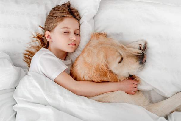 Girl with golden retriever dog in the bed - Valokuva, kuva