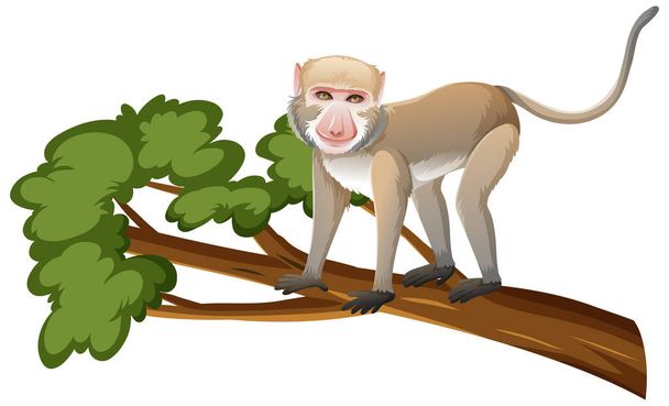 Macaco comedor de caranguejo ou macaco no ramo da árvore em estilo cartoon em fundo branco ilustração - Vetor, Imagem