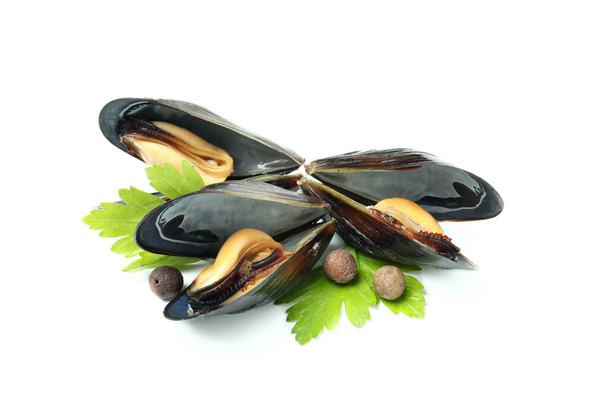 Fresh mussels seafood isolated on white background - Photo, Image