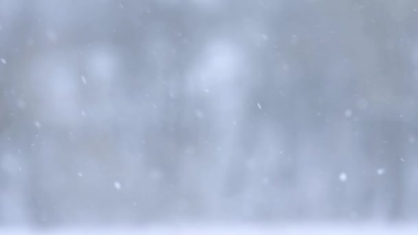 Zeitlupe fallender Schnee, verschwommener Hintergrund im Winter, märchenhafte Jahreszeit. - Filmmaterial, Video