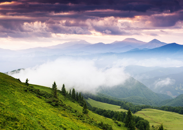 вид сельских альпийский пейзаж - Фото, изображение