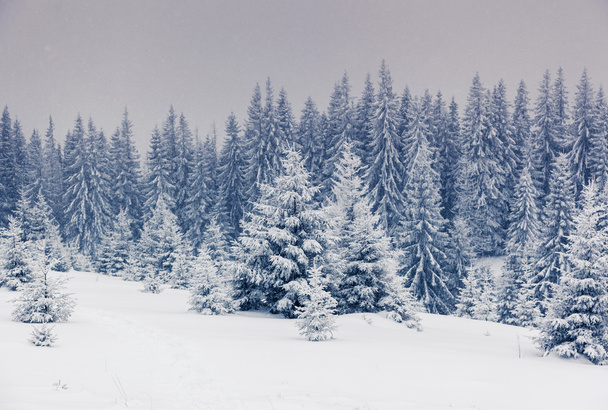 Fantastic winter landscape. - Foto, Imagem