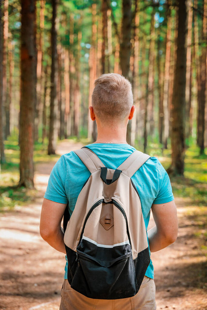 A young man with a backpack walks through a pine summer forest - Φωτογραφία, εικόνα