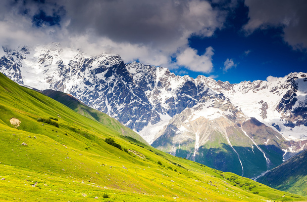 Alpine meadows at foot of Mt. Shkhara - Foto, imagen