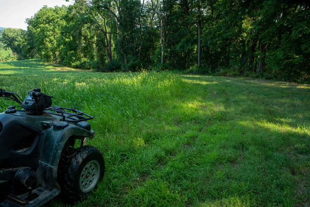 off road vehicle by agricultural soybean field and woods in the background. - Photo, Image