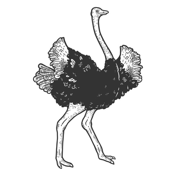 Struisvogel klapt met zijn vleugels. Schets krasbord imitatie kleuring. - Foto, afbeelding