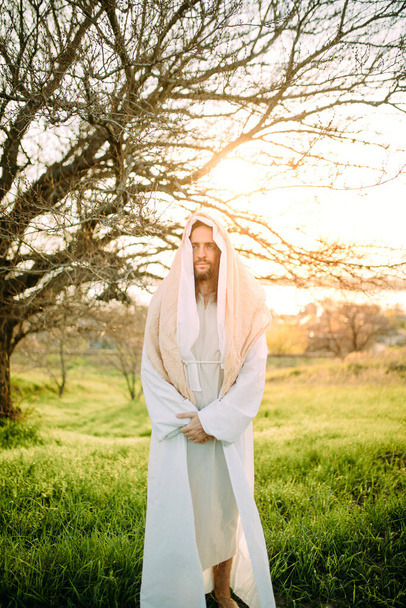 Jeesus Kristus seisoo niityllä pukeutuneena perinteiseen valkoiseen kylpytakkiinsa puuta ja auringonlaskun taustaa vasten. - Valokuva, kuva