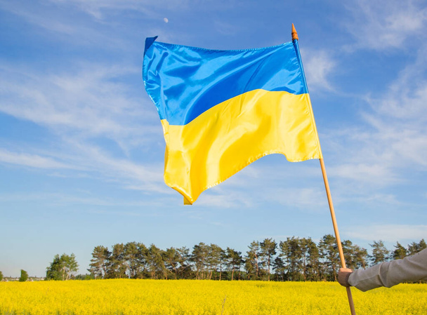 nagy szatén sárga és kék zászló Ukrajna lengő szél hátterében gyönyörű táj virágzó mező és kék ég. büszkeség, a haza szimbóluma, hazafiasság. Ukrajna függetlenségének napja. - Fotó, kép