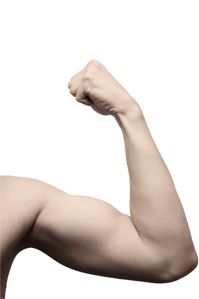 Sportlicher Arm auf weißem Hintergrund - Foto, Bild
