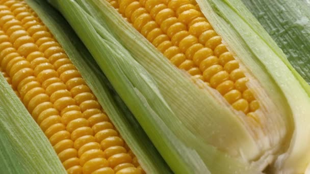 primer plano de maíz dulce rota en un plato  - Metraje, vídeo