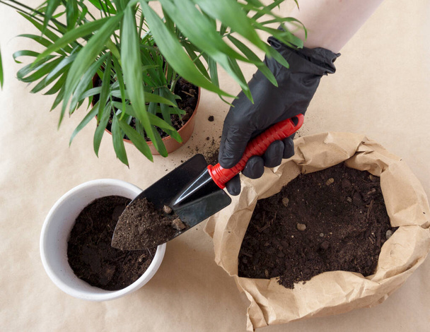 Top view of a table with tools for transplanting plants. A pot, a shovel with a red handle, earth in a paper bag. Image of home gardening - Fotó, kép