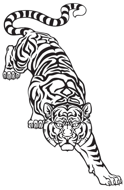 Tiger klettert nach unten und große Katzenaugen blicken geradeaus. Isolierte Frontansicht. Schwarz-weiße Vektor-Illustration im Tätowierstil - Vektor, Bild