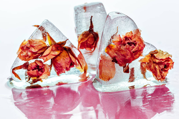Frozen rose in ice cube - Fotografie, Obrázek