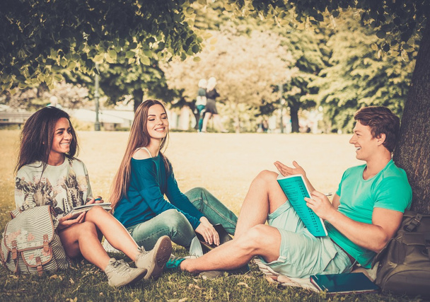 Grupo de estudiantes multiétnicos en un parque urbano
  - Foto, Imagen