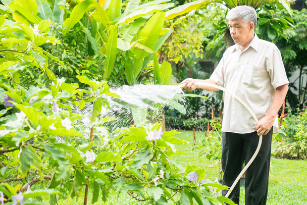 A happy and smiling Asian old elderly man is watering plants and flowers for a hobby after retirement in a home. Concept of a happy lifestyle and good health for seniors. - Photo, Image