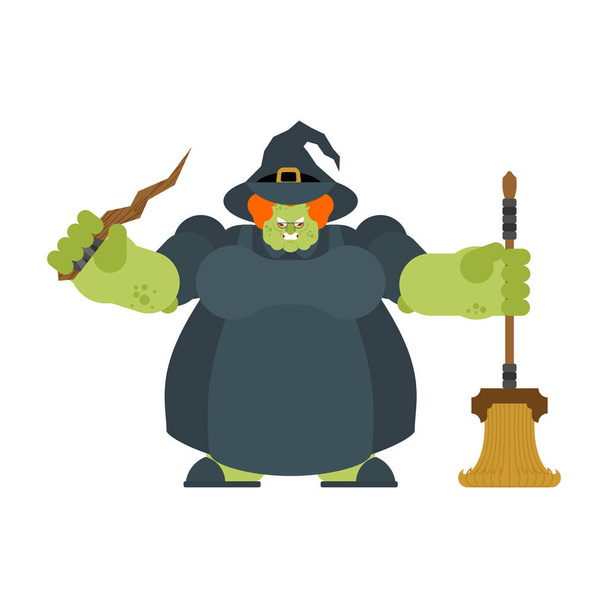 Evil witch isolated. Angry sorceress. vector illustration - Vector, afbeelding