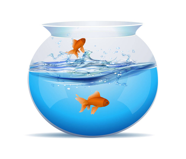 Fishbowl Free Stock Vectors