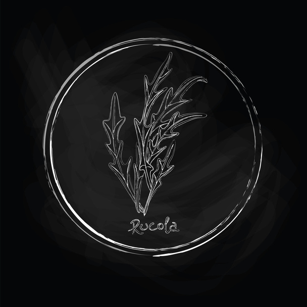 Dark rucola - Vector, Image