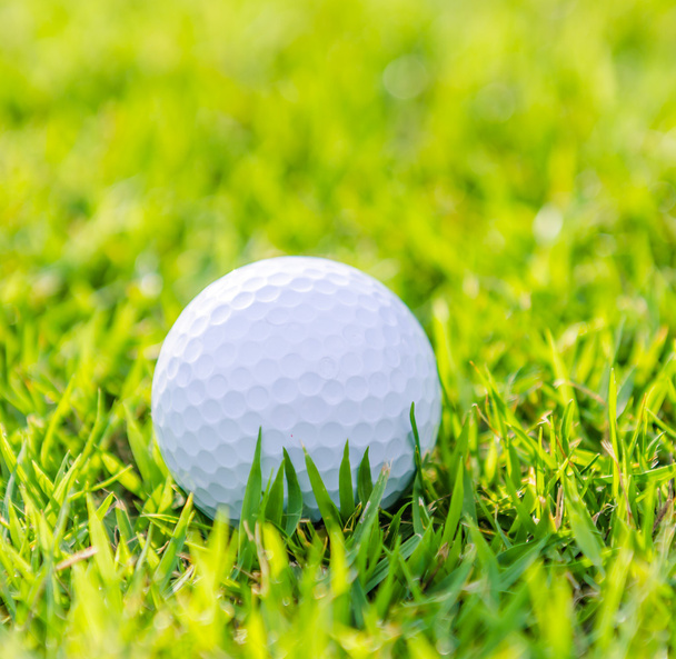 緑の芝生の上のゴルフボール - 写真・画像
