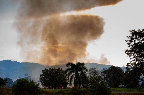 Oheň cukrové třtiny hořící na poli ve Valle del Cauca v Kolumbii - Fotografie, Obrázek