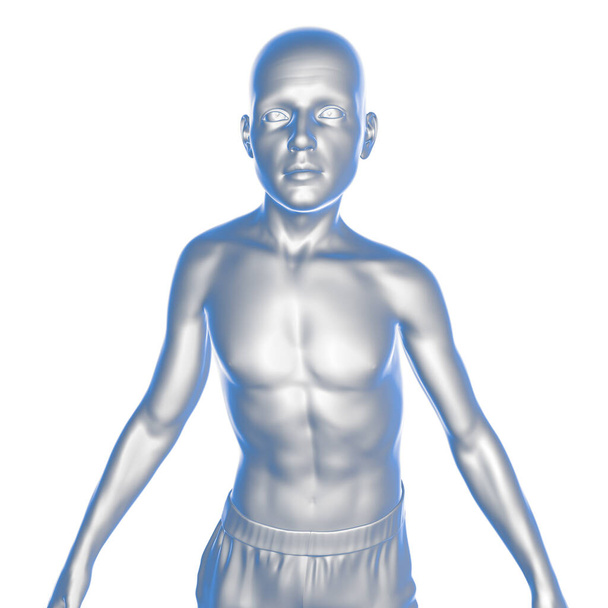 Escoliosis, ilustración 3D. Un cuerpo humano con la columna vertebral curvada, hombros desiguales y caderas. Un niño con escoliosis - Foto, Imagen