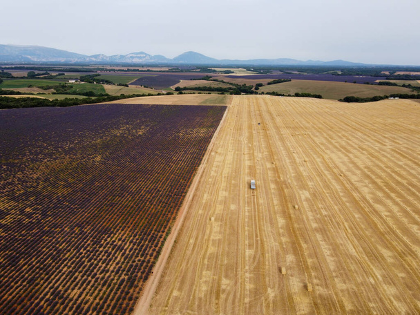Destino turístico no sul da França, vista aérea sobre lavanda aromática colorida e campos de lavanda em flor em julho no planalto Valensole, Provence. - Foto, Imagem