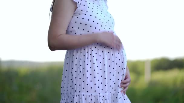 Femme enceinte étreint ventre avec les mains sur la nature - Séquence, vidéo