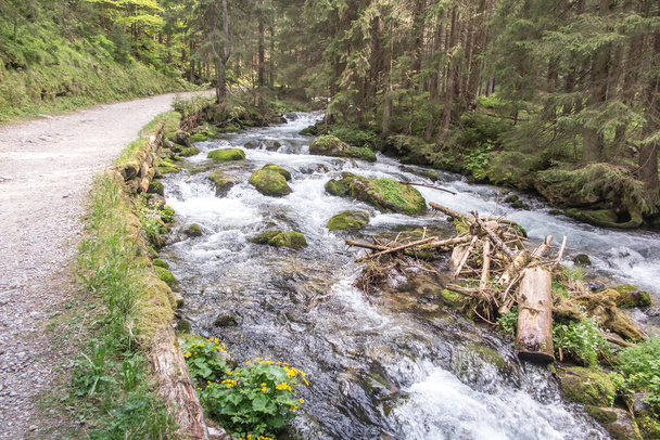 Bergbeekje stroomt langs de weg in het dal, in de lagere delen van het Tatra gebergte in Polen. - Foto, afbeelding