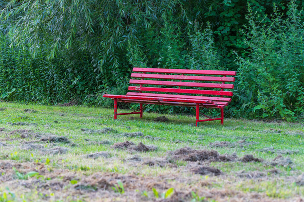 Wooden bench in the meadow. There are bushes behind the bench. Cut grass. - Photo, Image
