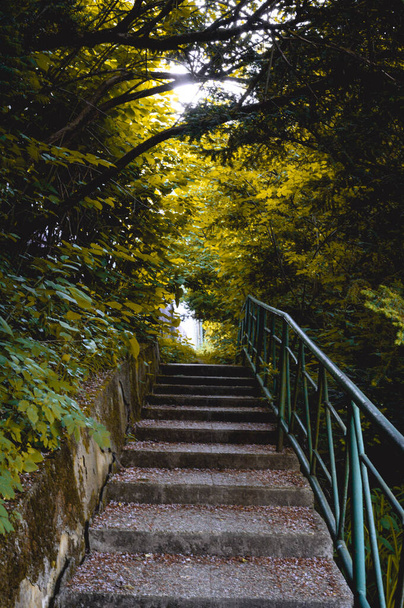A vertical shot of stone steps going uphill in a sunny park with bright leaves glowing in the sunlight - Photo, image
