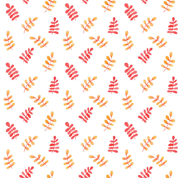 Padrão sem costura colorido bonito Folhas de outono. Aquarela, desenhada à mão. Vermelho, laranja, cores amarelas, isolado no fundo branco. Bom para crianças tecido, têxtil, papel de embrulho, papel de parede, impressões - Foto, Imagem