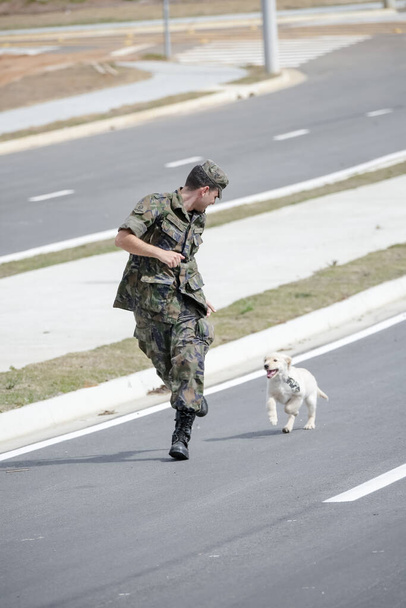 Militarl man spelen met golden retriever hond . - Foto, afbeelding