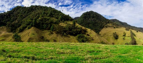 Belle vue panoramique sur la vallée de Cocora dans la région de Quindio en Colombie - Photo, image