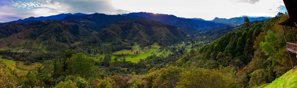 Belle vue panoramique sur la vallée de Cocora dans la région de Quindio en Colombie - Photo, image