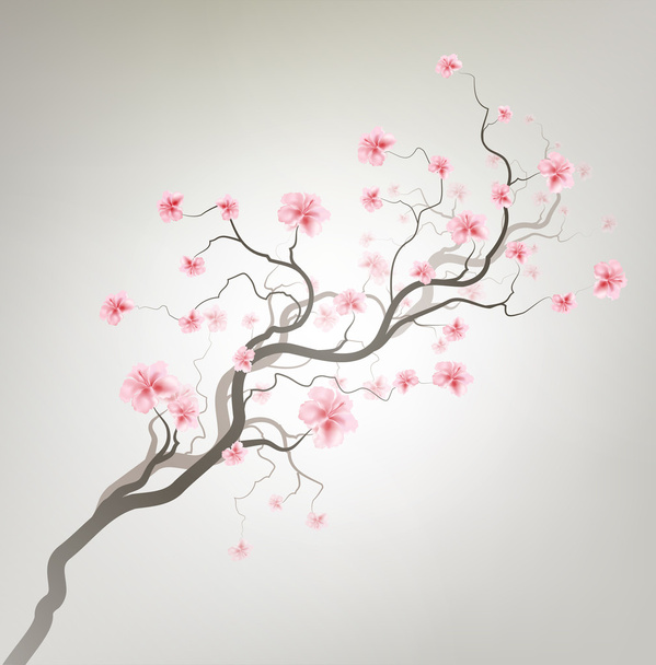 Sakura. - Vetor, Imagem