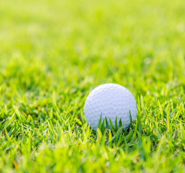 Golfball auf grünem Rasen - Foto, Bild