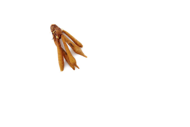 Vingerwortel wortelstok geïsoleerd op witte achtergrond textuur voor banner ontwerp - Foto, afbeelding