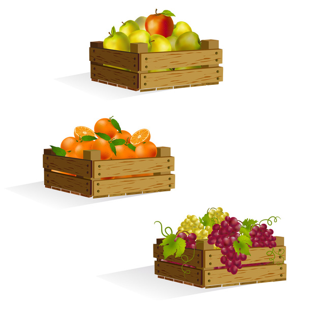 three boxes of apples, oranges, grapes - Vector, afbeelding