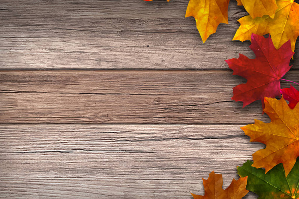 Colorful autumn maple leaves on wood. suitable for background - Vector, Image