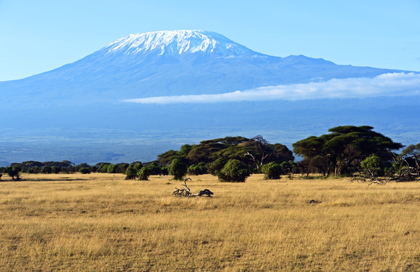 Панорама африканской саванны
 - Фото, изображение