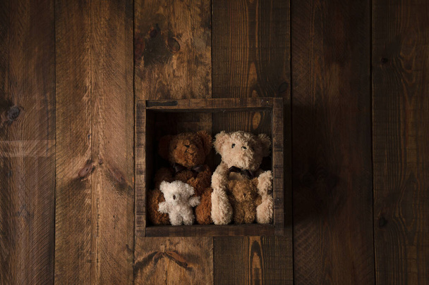 Urso em caixa de madeira - Foto, Imagem