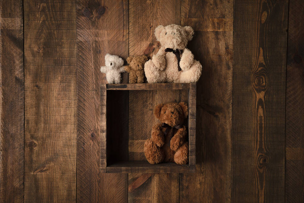 Bear in wooden box - Photo, Image